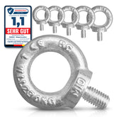 Ringschrauben nach DIN 580