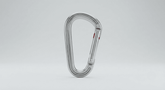 Edelstahl-Karabiner